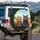 Tabby British Shorthair Cats with Glasses - Everyday Cat Lover Gift Spare Tire Cover - 3
