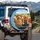 Golden Retriever Dogs Straw Hat Overalls Hay - Farmhouse Decor Gift for Dog Lovers Spare Tire Cover - 3