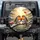 Fluffy European Robins Snowy Branch Red Berries - Wildlife Lover Gift Spare Tire Cover - 1