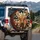 Highland Cow Daisy Floral Farmhouse Decor Gift for Cow Lovers Spare Tire Cover - 3