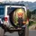 Red Panda Leaf Forest Tree Roots Daisies - Wildlife Lover Gift Spare Tire Cover - 3
