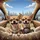 Overjoyed Chihuahua Dogs Gold Chain Driving Cityscape - Pet Lover Travel Gift Spare Tire Cover - 6