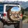 Overjoyed Chihuahua Dogs Gold Chain Driving Cityscape - Pet Lover Travel Gift Spare Tire Cover - 3