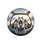 Siberian Huskies Driver Winter Landscape - Dog Lover Gift for Pet Owners Spare Tire Cover - 4