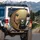 Fluffy Ginger White Cream Cats Buckled In Seats - Cat Lover Auto Gift Spare Tire Cover - 3