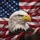 Bald Eagle American Flag - Independence Day Gift for Veterans Spare Tire Cover - 6