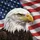 Bald Eagle American Flag - Independence Day Gift for Veterans Spare Tire Cover - 6