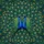 Two Peacocks Iridescent Plumage Wildlife Lover Gift for Bird Watchers Spare Tire Cover - 6