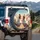 White Roosters Sunglasses Desert Hills Mountains Open Road - Outdoor Adventure Gift Spare Tire Cover - 3