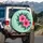 Pink Hibiscus Flowers Lush Teal Greenery - Tropical Decor Gift for Botanical Lover Spare Tire Cover - 3