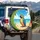 Macaw Parrot Sunny Beach Ocean Seashells Foliage Sky Clouds - Wildlife Lover Gift Spare Tire Cover - 3