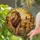 duiyfppz/products/6a164fb8b82f5948575a0b11/gallery/n4QvDcEjvX
