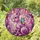 duiyfppz/products/6a1650197b57361959a3cd92/gallery/q0CvngYE5R
