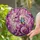 duiyfppz/products/6a1650197b57361959a3cd92/gallery/t5jkWCol_8
