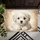 duiyfppz/products/6a165037aa9b343b17c5f80b/gallery/EZ3wLnZT8W