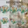 duiyfppz/products/6a16508c4632387d10d2cf8f/gallery/XyHzVpvFex