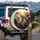 Chihuahua Dogs Car Interior Road Trip Travel Essentials Gift for Chihuahua Lover Spare Tire Cover - 3