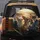 Chihuahua Dogs Car Interior Road Trip Travel Essentials Gift for Chihuahua Lover Spare Tire Cover - 5