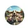 Basset Hound Corgi Pigs Road Trip - Adventure Lover Dog Gift Spare Tire Cover - 4