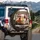 Rooster with Sunglasses Car Chicks Luxury Cabin Winter Forest - Road Trip Gift Spare Tire Cover - 3