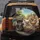 Chihuahuas Driving Car - Dog Lover Gift for Chihuahua Owners Spare Tire Cover - 5