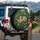 Sleeping Tabby Cat Forest Berries Heart Leaves - Wildlife Lover Gift for Cat Lover Spare Tire Cover - 3