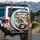 Maine Coon Cats Car Interior - Travel Lover Gift for Cat Owners Spare Tire Cover - 3