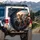Yorkshire Terriers Futuristic Drive - Road Trip Companion Gift for Yorkie Lovers Spare Tire Cover - 3