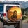 Majestic Resting Male Lion Golden Savanna Grasses African Sunset - Wildlife Lover Gift Spare Tire Cover - 3