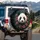 Panda Face Fuchsia Tropical Flowers - Wildlife Lover Gift Spare Tire Cover - 3