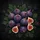 Ripe Purple Figs Fig Leaves Dew Drops - Organic Nature Lover Home Decor Gift Spare Tire Cover - 6