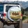 Wild Horses Gallop Grassy Plains - Wildlife Lover Gift Spare Tire Cover - 3