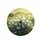 White Snowdrop Flowers Dewy Green Grass - Spring Home Decor Gift for Garden Lovers Spare Tire Cover - 4