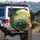 White Snowdrop Flowers Dewy Green Grass - Spring Home Decor Gift for Garden Lovers Spare Tire Cover - 3