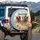 Wild Horses Desert Journey Rustic Steering Wheel - Adventure Lover Gift Spare Tire Cover - 3