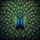 Peacocks Iridescent Ocelli Tail Feathers - Wildlife Lover Gift Spare Tire Cover - 6
