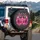 Zebras Hot Pink Trench Coats Sunglasses - Wildlife Lover Gift Spare Tire Cover - 3