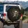 Human Skull Gnarled Branches Monarch Butterflies - Home Decor Gift Spare Tire Cover - 3
