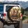 Elegant Yorkshire Terriers Tiaras Bows - Luxurious Home Decor Gift Spare Tire Cover - 3