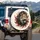 Lion Roaring Golden Eyes Wild Mane Scarlet Energy Streaks Outdoor Adventure Gift Spare Tire Cover - 3