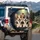 Sable Tri-color Corgi Dogs Pink Tongues Paws Sunlit Bokeh - Travel Essentials Dog Lover Gift Spare Tire Cover - 3