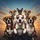Six Boxer Dogs Group Portrait with Golden Hour Sky and Clouds - Dog Lover Gift Spare Tire Cover - 6
