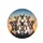 Six Boxer Dogs Group Portrait with Golden Hour Sky and Clouds - Dog Lover Gift Spare Tire Cover - 4