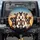 Six Boxer Dogs Group Portrait with Golden Hour Sky and Clouds - Dog Lover Gift Spare Tire Cover - 1