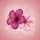 Deep Magenta Pastel Pink Hibiscus Flowers - Tropical Vehicle Decor Gift Spare Tire Cover - 6