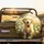 Fluffy Golden Retriever Puppy White Daisy Wild Green Foliage Sunlit Meadow - Dog Lover Gift Spare Tire Cover - 2