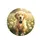 Fluffy Golden Retriever Puppy White Daisy Wild Green Foliage Sunlit Meadow - Dog Lover Gift Spare Tire Cover - 4