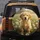 Fluffy Golden Retriever Puppy White Daisy Wild Green Foliage Sunlit Meadow - Dog Lover Gift Spare Tire Cover - 5