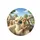 Happy Alpacas Driving Car Yellow Sunglasses Road Trip Journey Alpaca Lover Gift Spare Tire Cover - 4