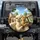 Happy Alpacas Driving Car Yellow Sunglasses Road Trip Journey Alpaca Lover Gift Spare Tire Cover - 1